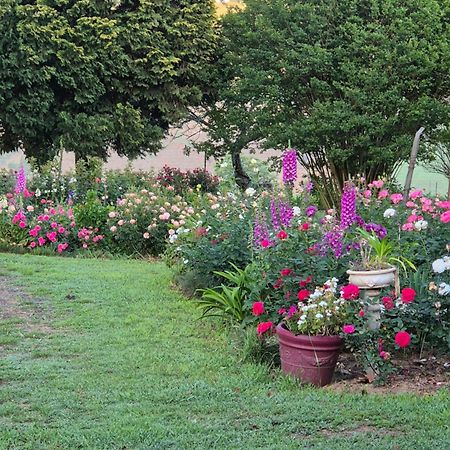 Piccadilly Farm Cottages Lions River المظهر الخارجي الصورة