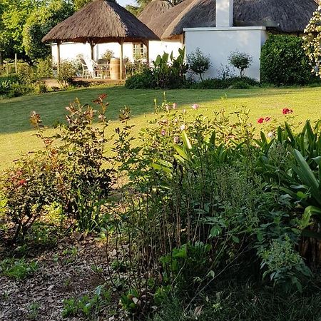 Piccadilly Farm Cottages Lions River المظهر الخارجي الصورة