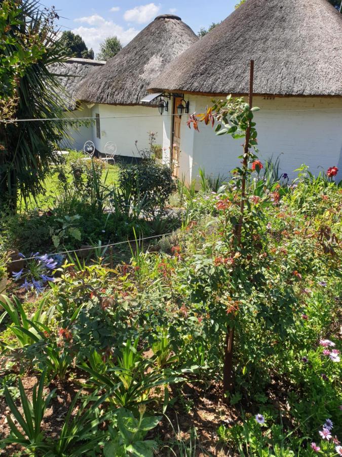 Piccadilly Farm Cottages Lions River المظهر الخارجي الصورة