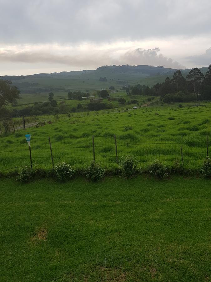 Piccadilly Farm Cottages Lions River المظهر الخارجي الصورة