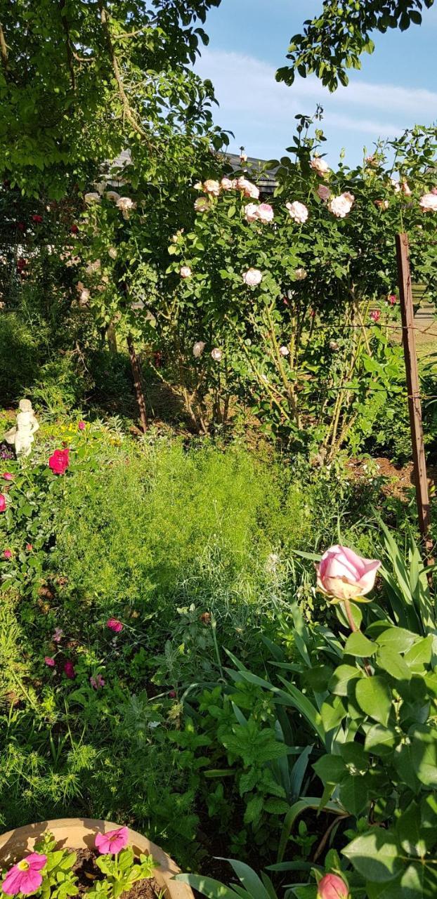 Piccadilly Farm Cottages Lions River المظهر الخارجي الصورة