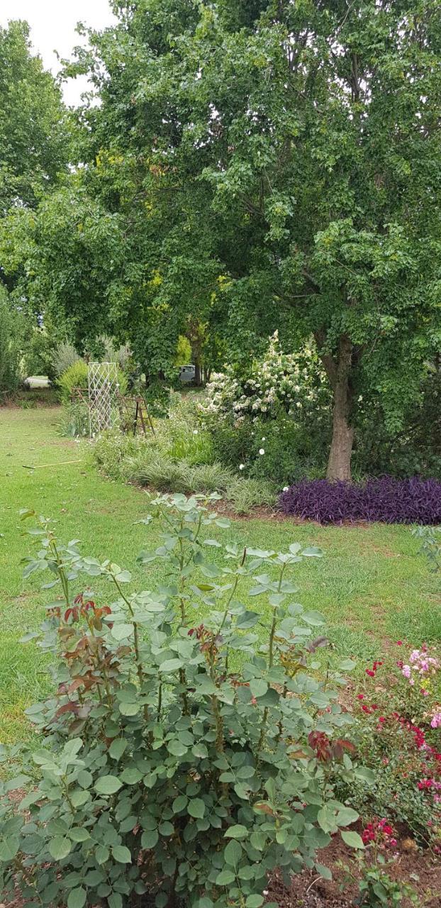 Piccadilly Farm Cottages Lions River المظهر الخارجي الصورة
