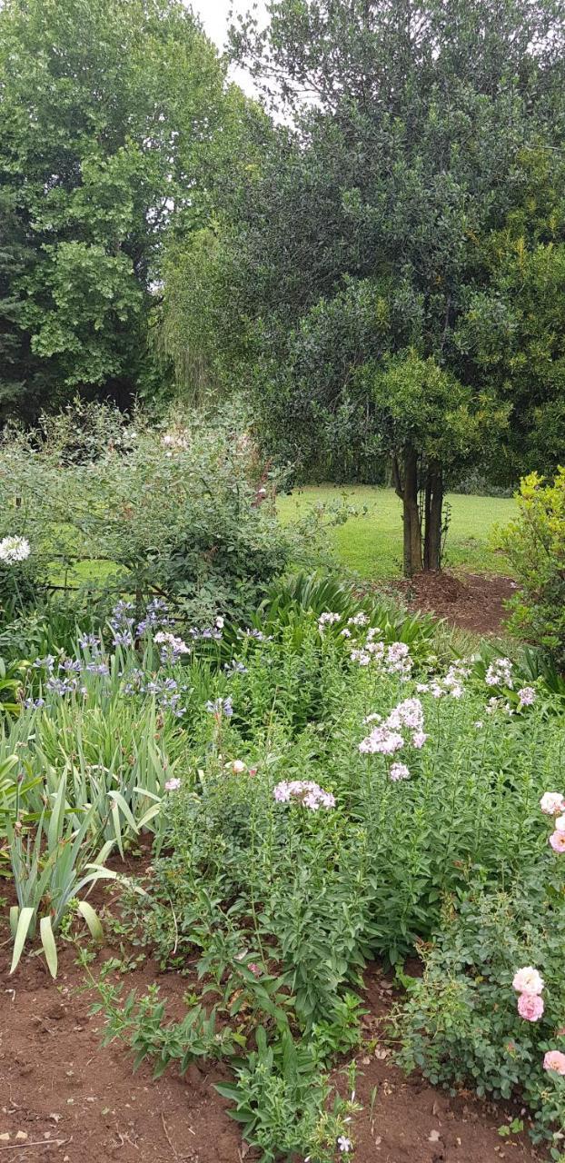 Piccadilly Farm Cottages Lions River المظهر الخارجي الصورة