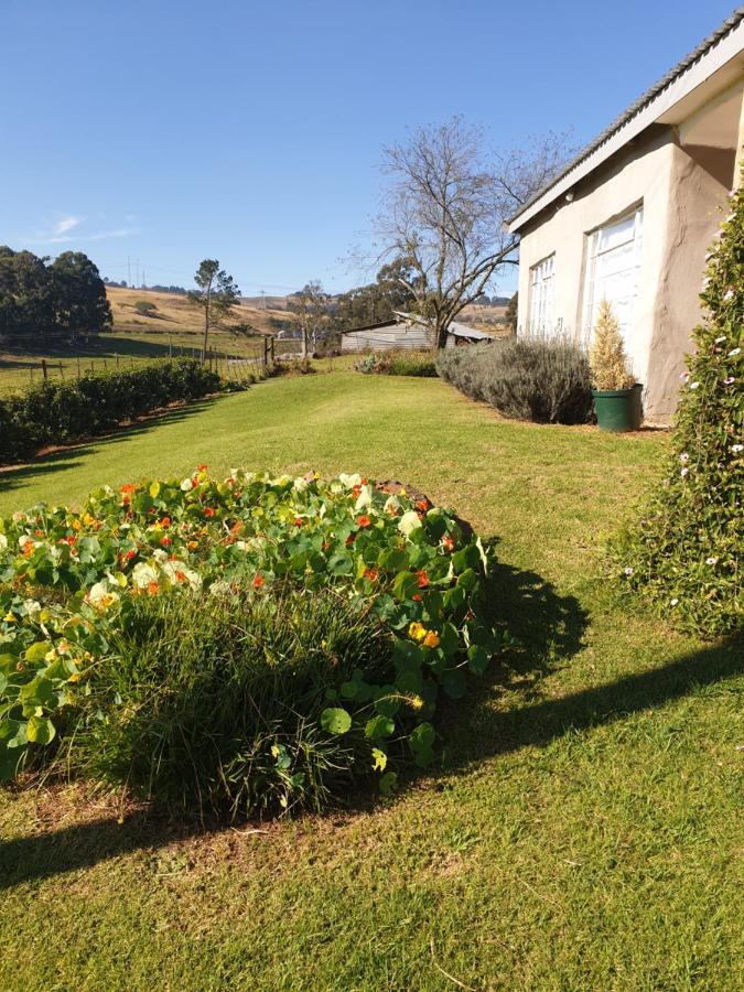 Piccadilly Farm Cottages Lions River المظهر الخارجي الصورة